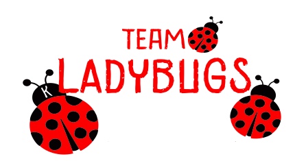 Team Ladybugs